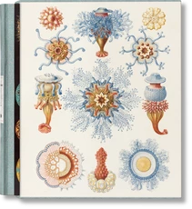 The Art and Science of Ernst Haeckel