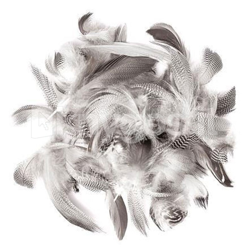 DallPrint Pīļu spalvas, 15–20 cm, 5