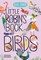 Zommer, Y: Little Robin's Book of Birds