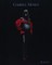 Moses, G: Gabriel Moses