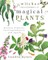 Kynes, S: Witches' Encyclopedia of Magical Plants