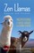 Zen Llamas (And Alpacas)