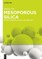 Mesoporous Silica