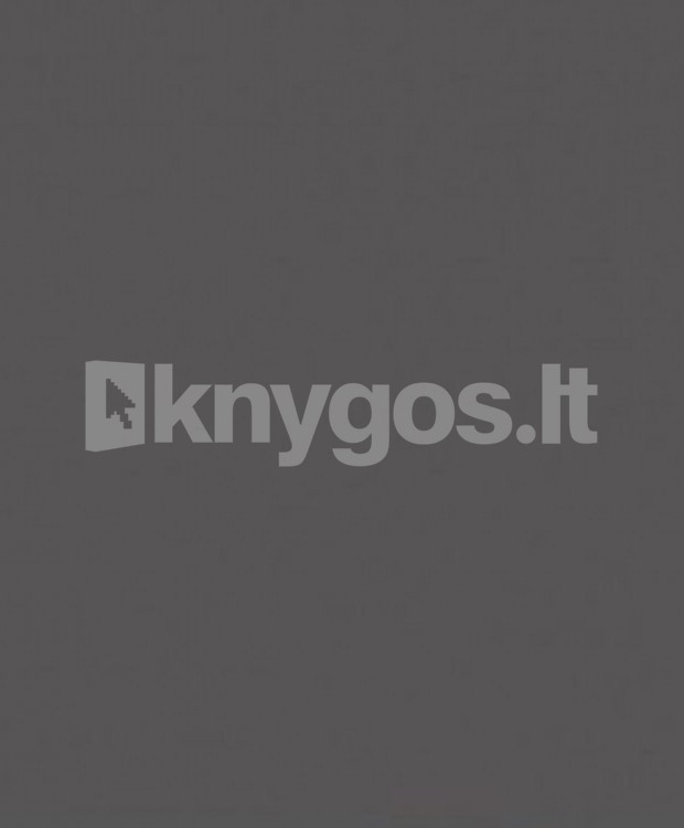 Krāsains kartons A1, 160 g, grafīta