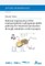 Rational engineering of the methylerythritol 4-phosphate (MEP) pathway for terpenoid production through metabolic control analysis