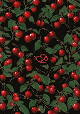 2026. gada A5 darba kalendārs MELNIE ĶIRŠI