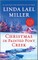 Christmas in Painted Pony Creek