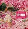 Pastoureau, M: Pink