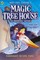 Osborne, M: Magic Tree House 17: Dinosaurs Before Dark
