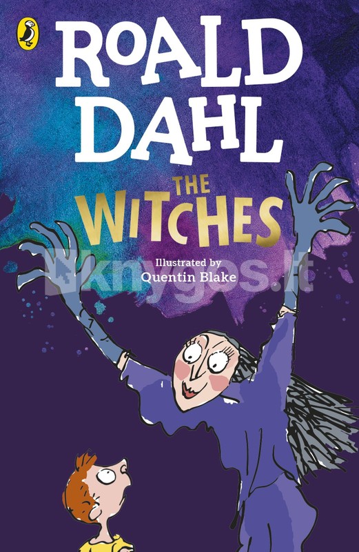 Penguin Books Ltd (UK) The Witches