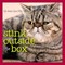 Greenberg, J: Stink Outside the Box