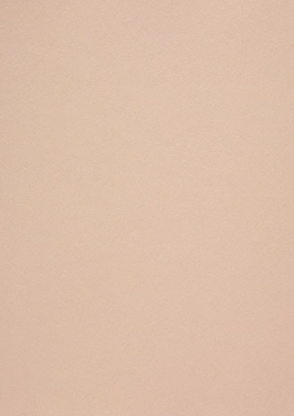 Krāsains papīrs A4 120 g/m², nude