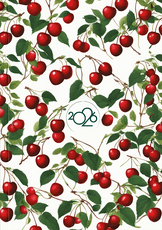 2026. gada A5 darba kalendārs BALTIE ĶIRŠI