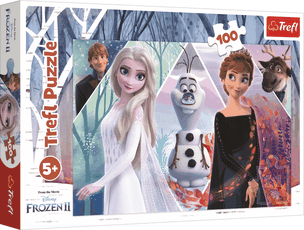TREFL FROZEN dėlionė „Ledo šalis 2“, 100 det.