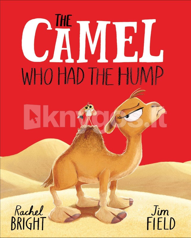 Hachette Children`s  Book The Camel Who
