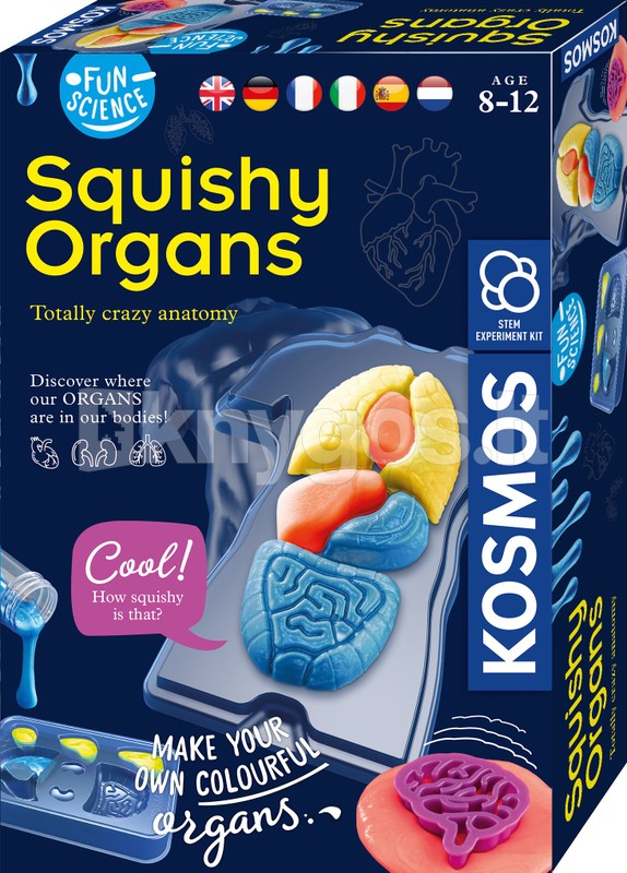 KOSMOS Attīstošais komplekts SQUICHY ORGANS, 8–12