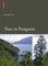 Trees in Patagonia