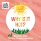 Carle, E: Why Is It Hot?