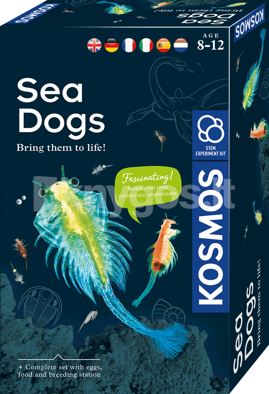 KOSMOS Attīstošais komplekts SEA DOGS 8–12