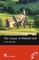 The Tenant of Wildfell Hall