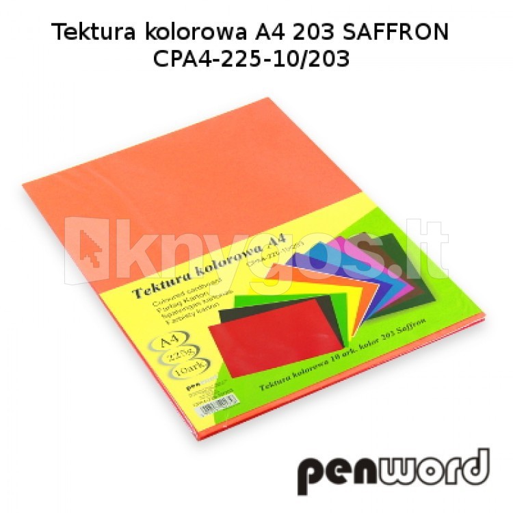 PenWord kartons A4, 10 loksnes, 225