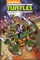 Teenage Mutant Ninja Turtles: Amazing Adventures, Volume 1