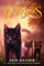 Warriors: A Starless Clan 02: Sky