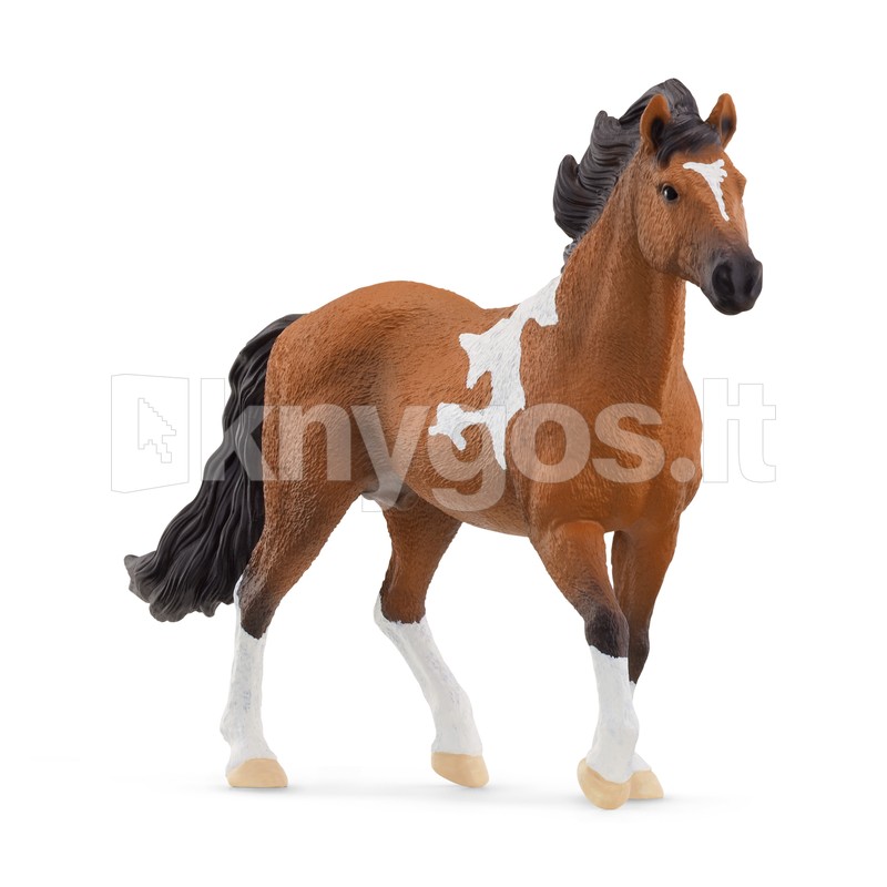 SCHLEICH HORSE CLUB Mangalarga Marchador šķirnes