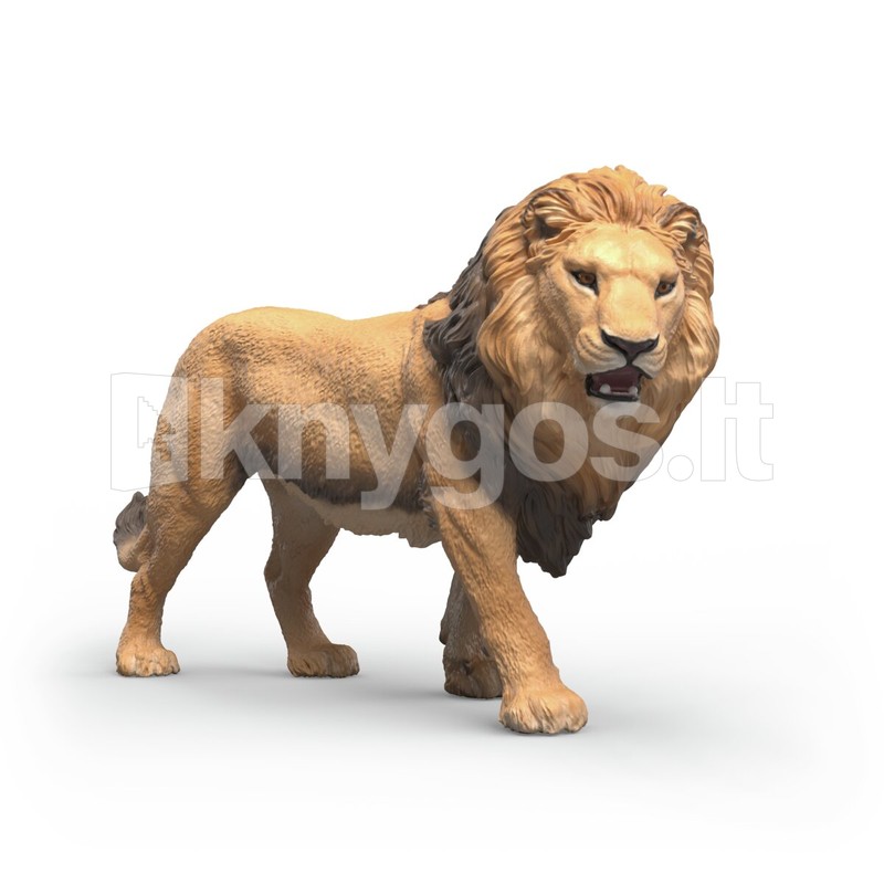 SCHLEICH WILD LIFE Āfrikas lauva