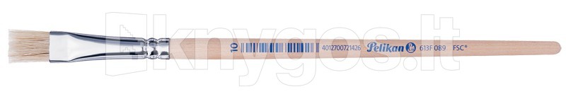 Pelikan Ota Nr. 613F, izmērs 10