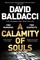 Baldacci, D: Calamity of Souls