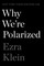 Why We're Polarized