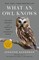 Ackerman, J: What an Owl Knows