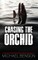 Chasing The Orchid