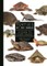 Turtles of the World