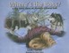 Where's the Boss