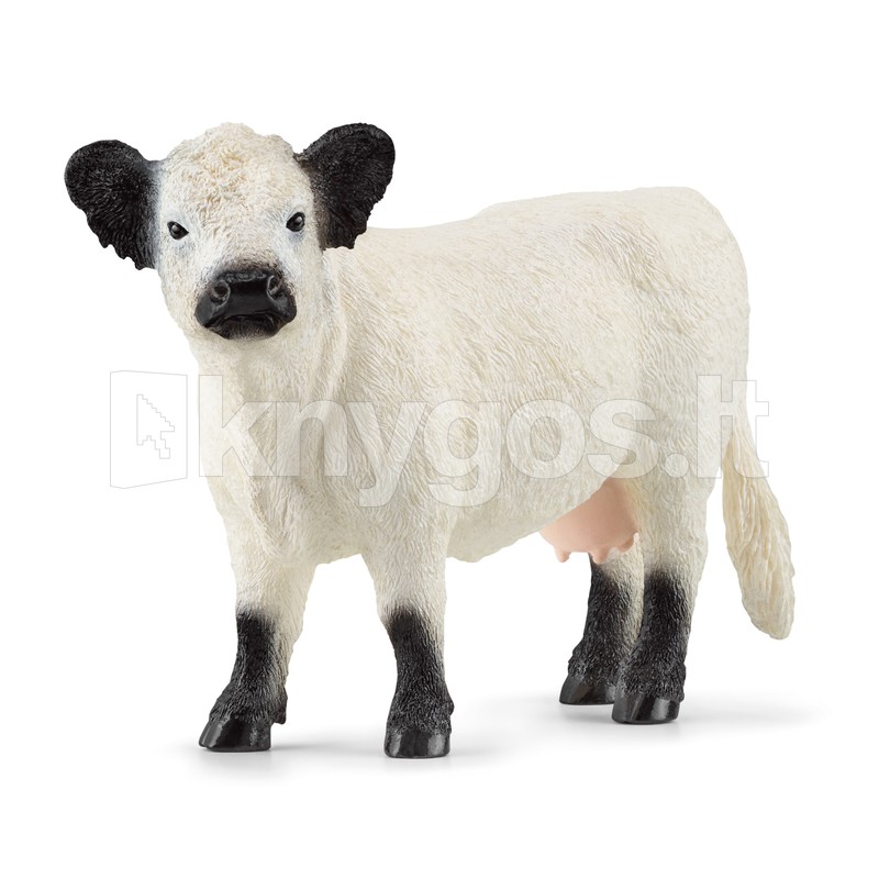 SCHLEICH FARM WORLD Galovejas šķirnes govs