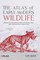 Raye, L: ATLAS OF EARLY MODERN WILDLIFE