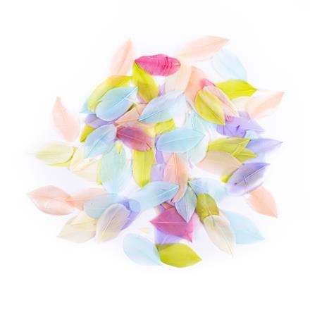 DallPrint Zoss spalvas, 6 cm, 5