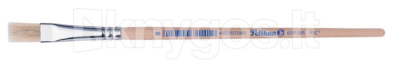 Pelikan Ota Nr. 613F, 8 plakanie