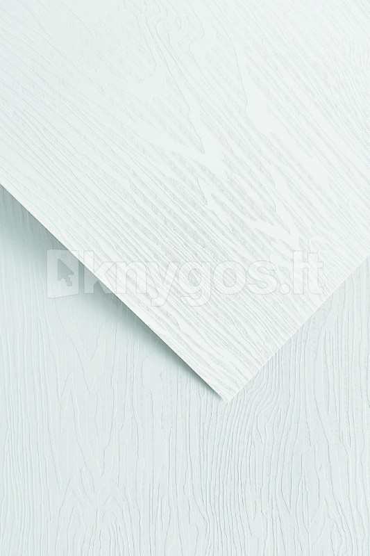 Galeria Papieru Dekoratīvais papīrs OAK A4