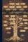 Anonymous: STAMMBUCH
