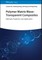 Gu, J: Polymer Matrix Wave-Transparent Composites