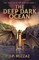 The Deep Dark Ocean