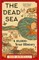 Arielli, N: Dead Sea