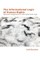 The Informational Logic of Human Rights: Network Imaginaries in the Cybernetic Age
