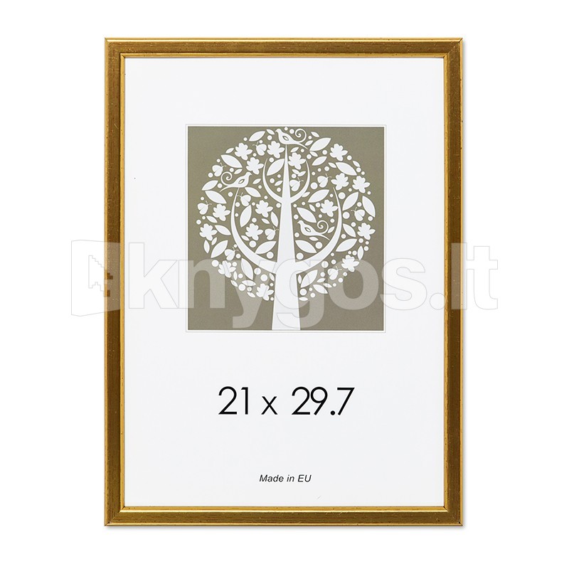 Rāmis A4 21x30 cm antīkā zelta