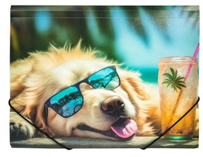 A4 mape ar gumiju "CHILLOUT DOG"