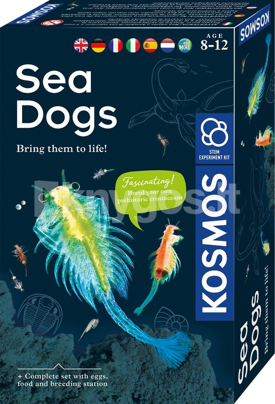 KOSMOS SEA DOGS attīstošais komplekts 8–12