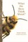 Lihoreau, M: What Do Bees Think About?